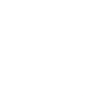 Marketing Audit Report